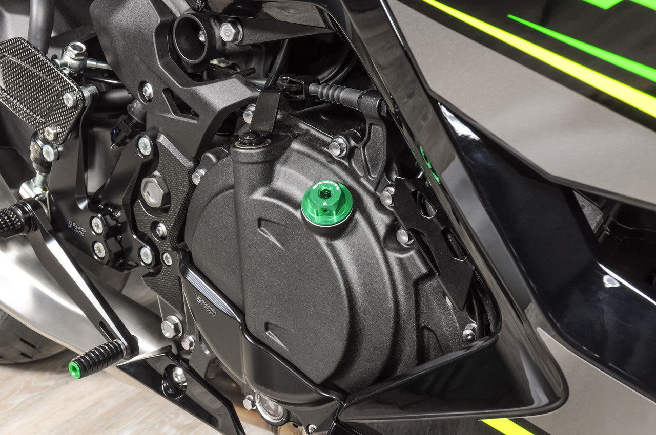 Bonamici Kawasaki Ninja 500 / 400 Case Savers (3-Piece Kit)